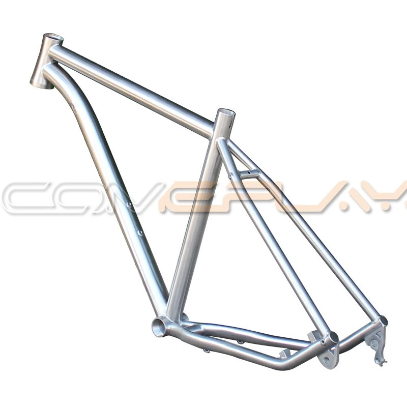 TItanium MTB frame